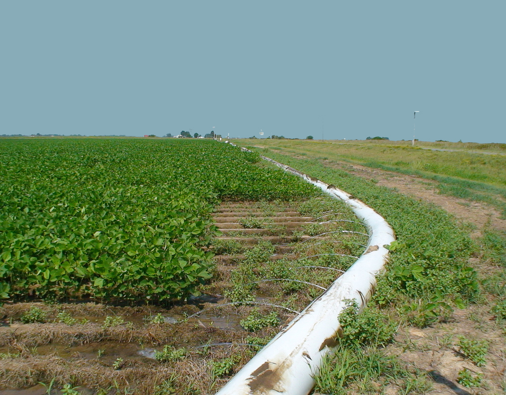 Polypipe irrigation