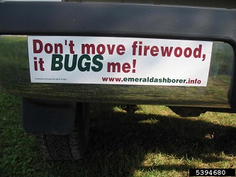 Don't Move Firewood bumper sticker