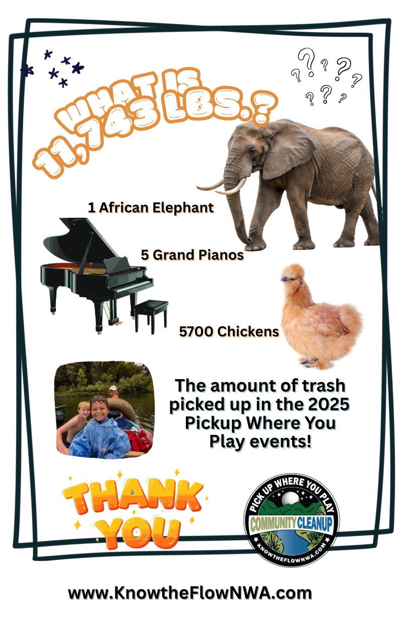 Thank you 2024 Thank you image with multiple pictures of people cleaning up litter with a text box that says thank yout 597 volunteer