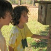 Children peering into a bluebird nest box