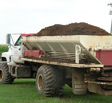 Large dump truck filled with a brown pile of chicken manure.
