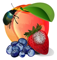 MyIPM app for Fruit and Nut The MyIPM app is a tool that serves all fruit growers.