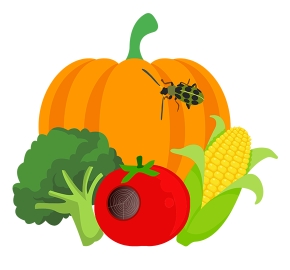 MyIPM for Vegetables provides Integrated Pest Management (IPM) information for conventional and organic production of vegetable crops including, cucurbits (cantaloupe, cucumber, pumpkin, squash, watermelon) and tomatoes. MyIPM for Vegetables provides Integrated Pest Management (IPM) information for conventional and organic production of vegetable crops including, cucurbits (cantaloupe, cucumber, pumpkin, squash, watermelon) and tomatoes.