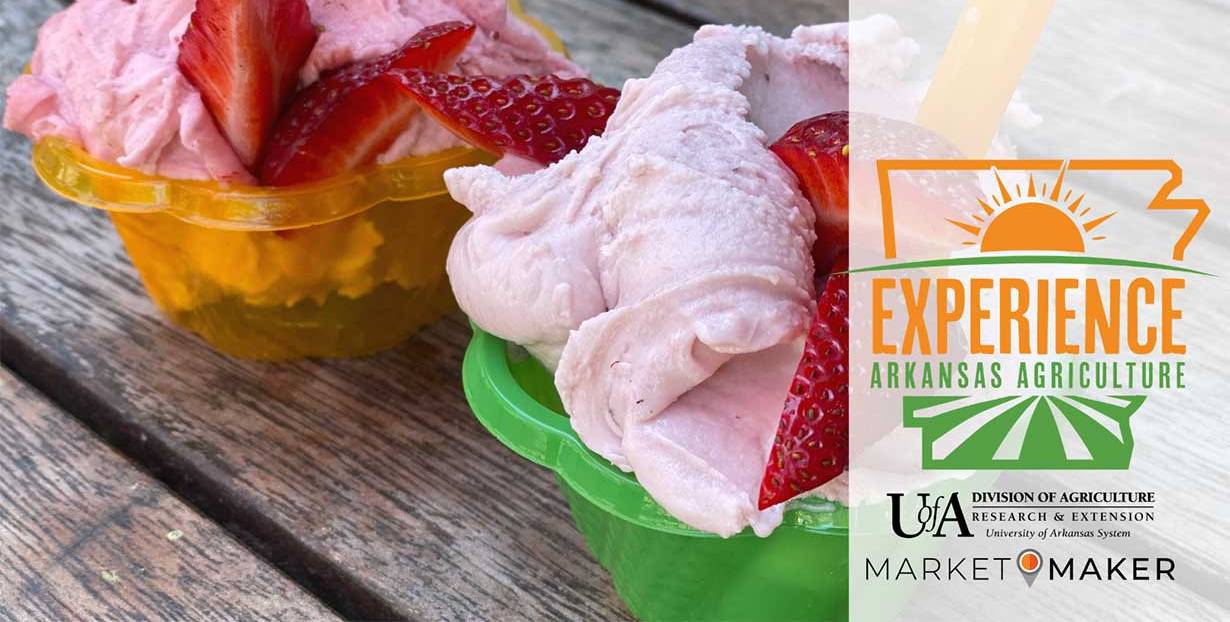 Experience Arkansas agriculture - gelato and strawberries