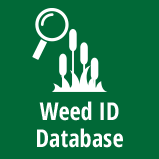 Weed ID Database