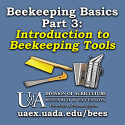 Beekeeping Basics Part 3: Introdcution to the Beekeeping Tools 