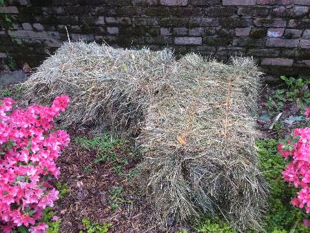 two straw bales on the ground in a garden