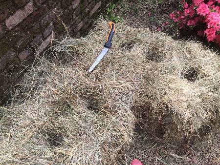 Two straw bales with three holes cut in each top. Cutting tool nearby.