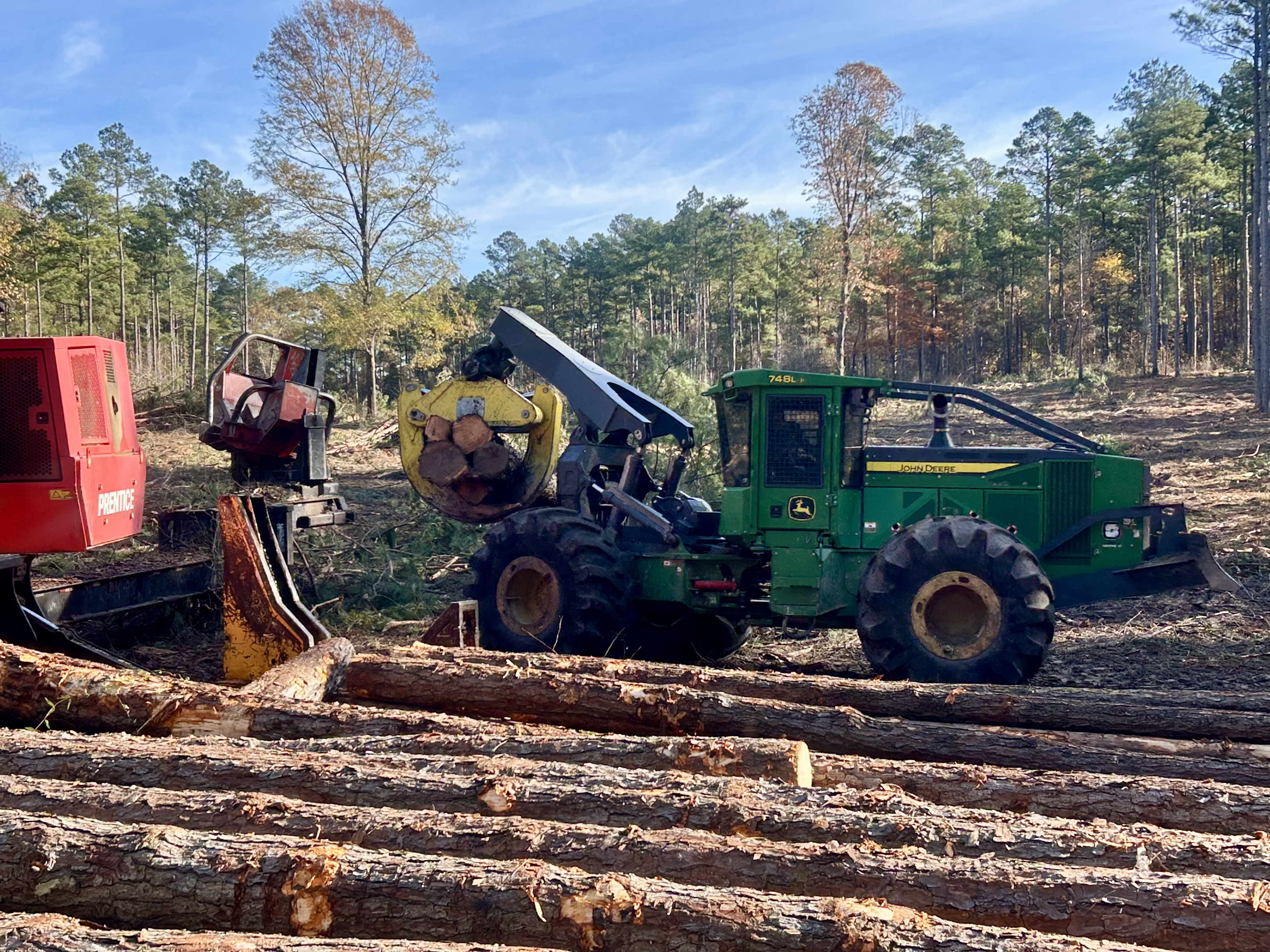 Timber harvesting