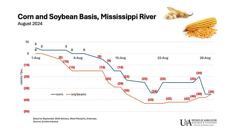 Graph of falling basis prices