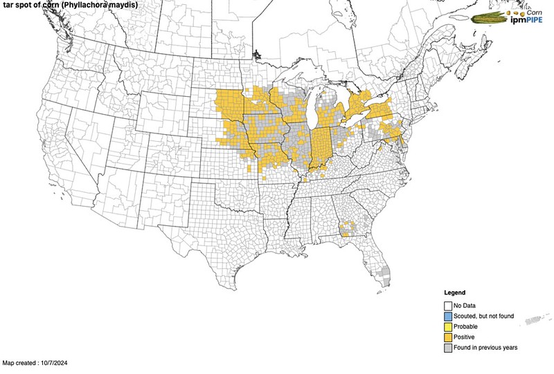 Tar spot map