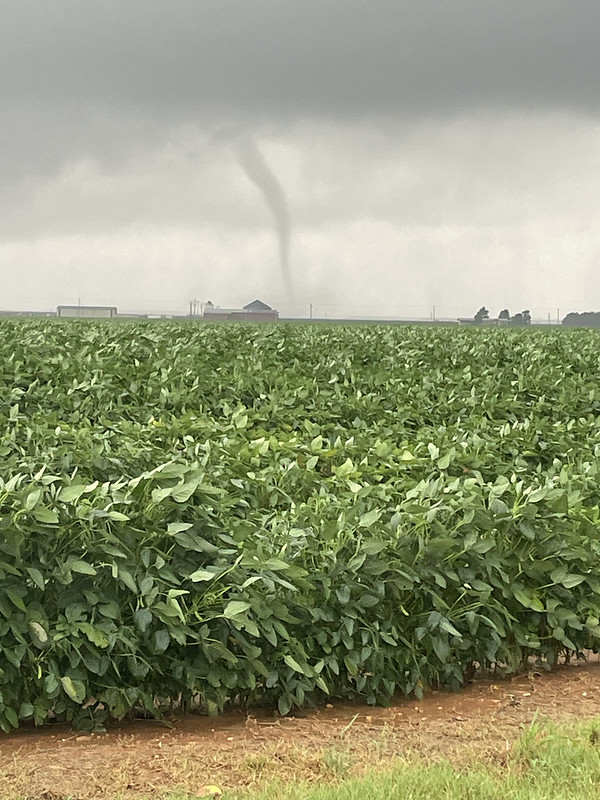 A tornado seen in the distance