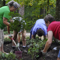 gardeners working to plant flowers in a flower bed