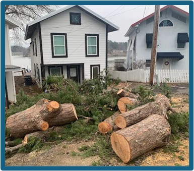 Red Leaf Forestry photo from customer testimonial