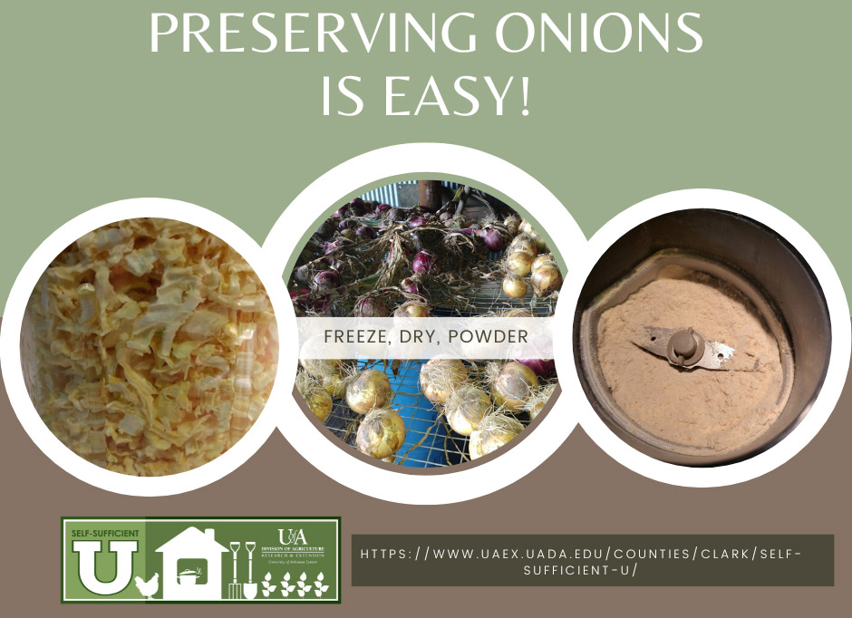 4 Benefits of Using Value-Added Diced Onions