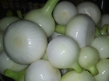 Bowl containing clean onion with outer skin removed