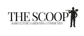 The Scoop Logo