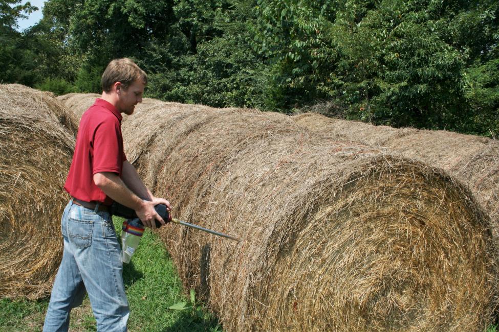 Brian taking a hay sample