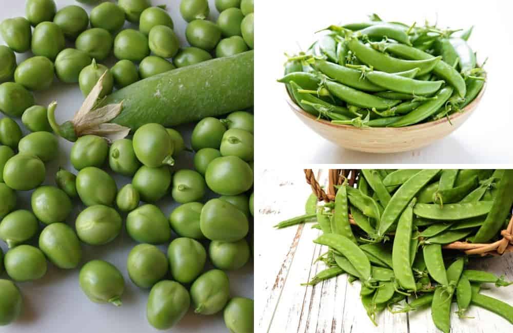 Peas: Nutrition, benefits, types, and more