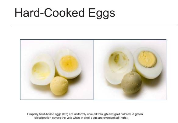 are hard boiled eggs safe for cats and dogs