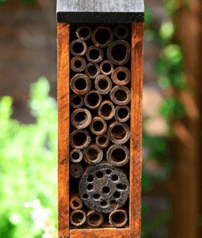 mason bee house