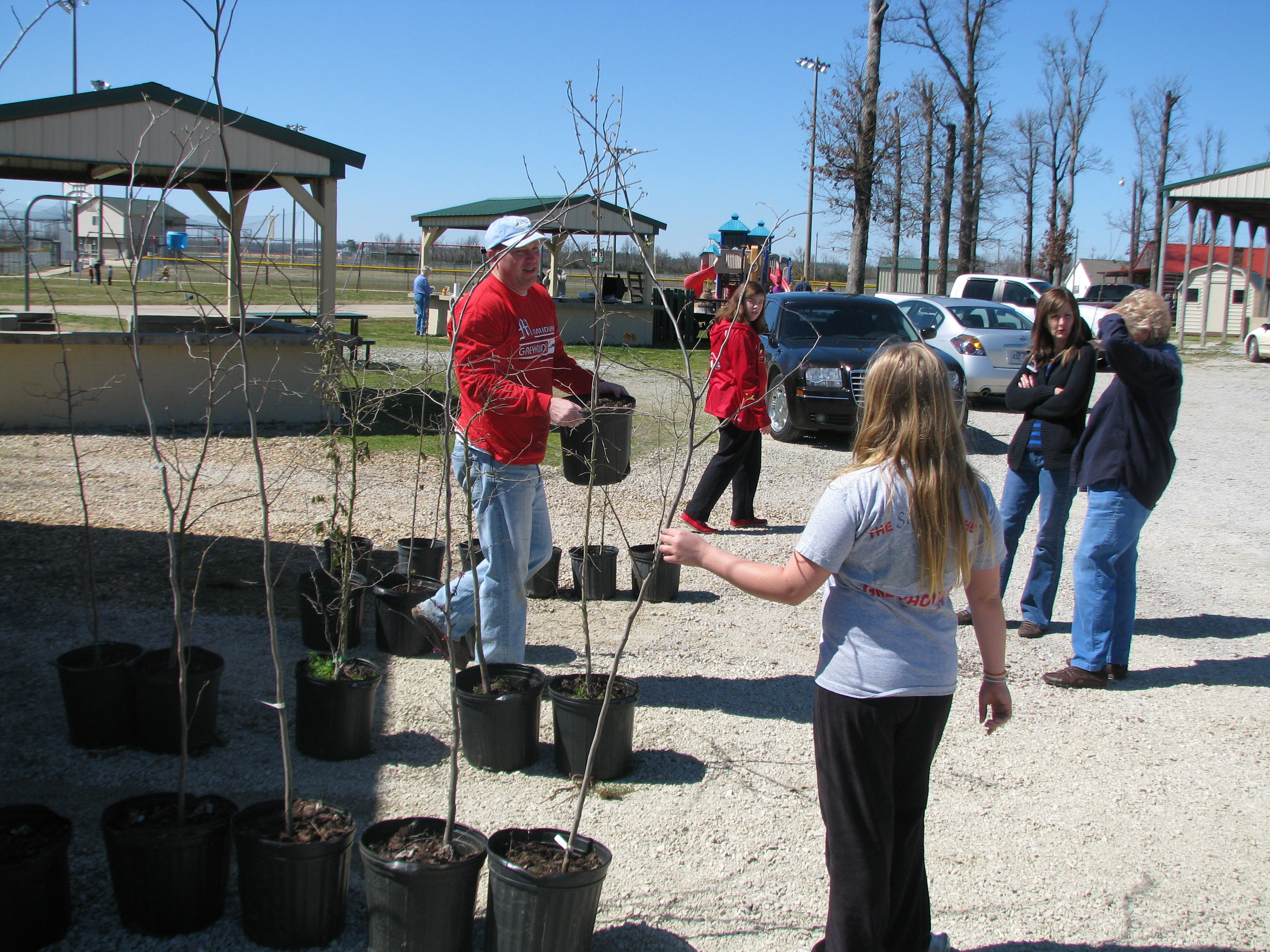 Tree Giveaway