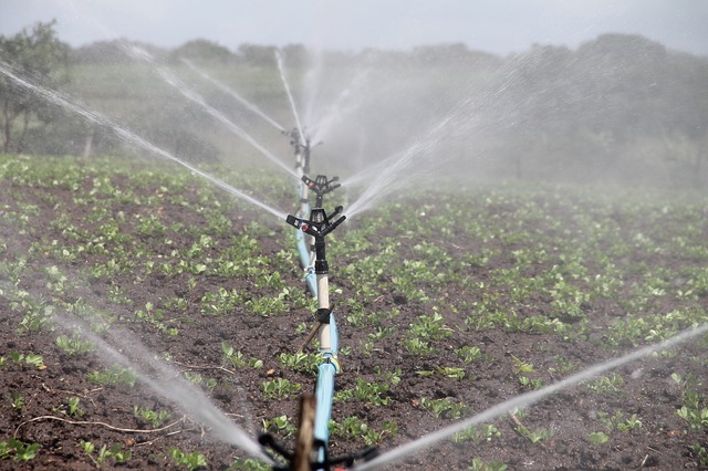 Water & Irrigation