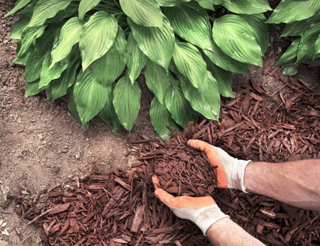 Leaving bare soil in your landscape can cause exposed soil to wash away during a rain.