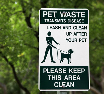 2. Pick Up Pet Waste