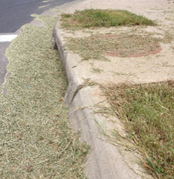 grass clippings left on street near storm drain, Fayetteville, AR