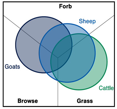 figure 1 dietary overlap eating patterns goats eating mostly browse and forb, sheep eating mostly forb and grass with a little browse