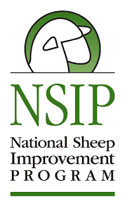 National Sheep Improvement Program logo