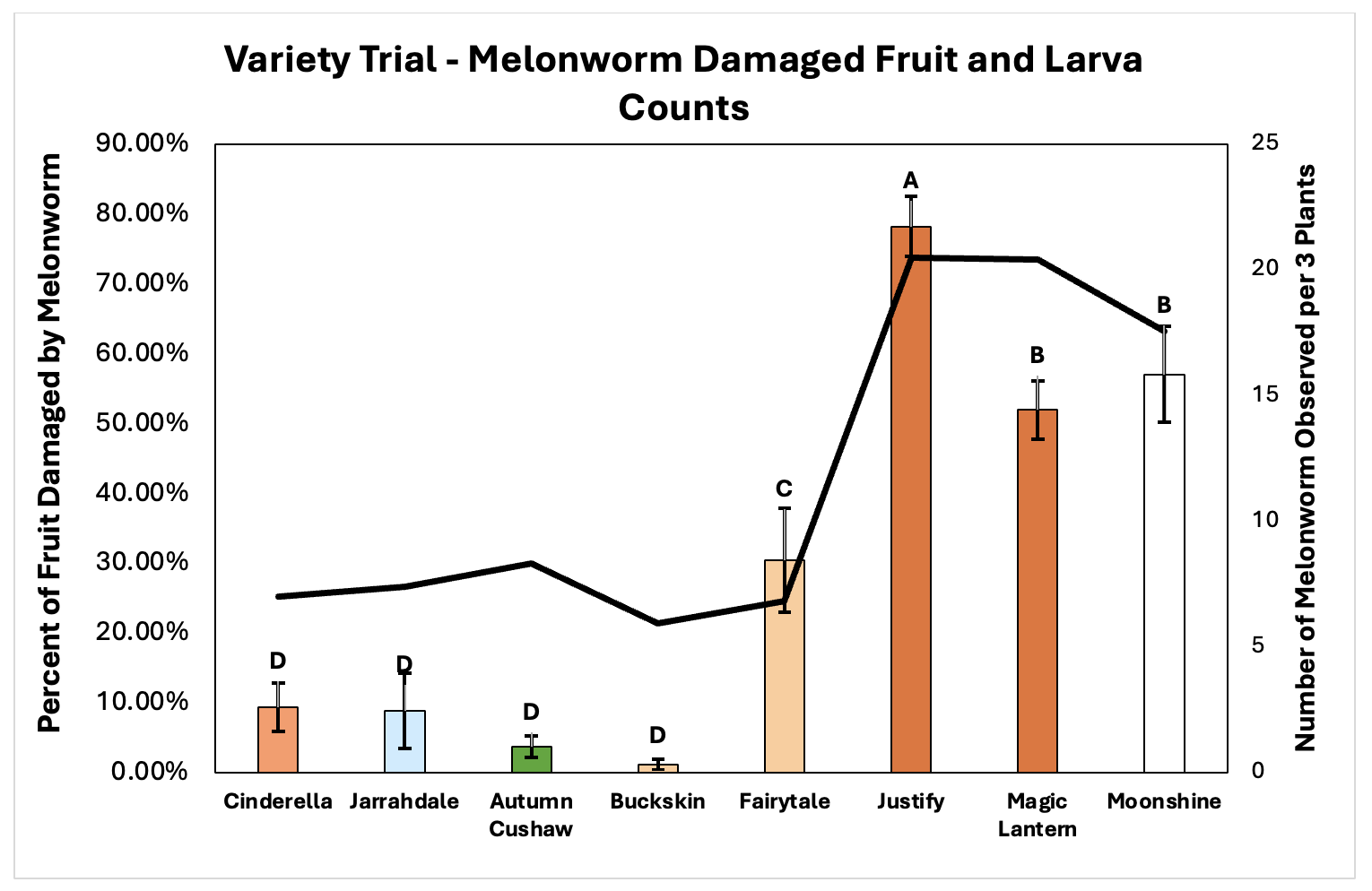 Figure 1. Results from our 2024 variety trials that shows the percent of fruit damaged by melonworm in each variety (pumpkin-colored bars) and number of melonworm observed on plants at the time of harvest (black line) in Hope and Kibler, AR. Varieties derived from Cucurbita maxima (‘Cinderella’ and ‘Jarrahdale’), Cucurbita mixta (‘Autumn Cushaw’), and Cucurbita moschata (‘Buckskin’ and ‘Fairytale’) exhibited significantly fewer damaged fruit than varieties derived from Cucurbita pepo (‘Justify’, ‘Magic Lantern’, and ‘Moonshine’). Elevated fruit damage was observed in ‘Fairytale’, which is derived from the same species as ’Buckskin’. Melonworm were observed on plants of all 8 varieties and 4 different species of Cucurbita, although numbers were 3-4 times higher in jack-o-lantern varieties derived from Cucurbita pepo. Although no difference in melonworm observed existed between all non-C. pepo varieties, melonworm still heavily damaged fruit in ’Fairytale’.