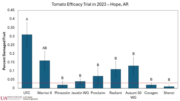 Figure 2 – Tomato insecticide efficacy trial in 2023 at Hope, AR. Eight insecticides were trialed and all products were applied at the same time once threshold levels of tomato fruitworm eggs were observed. Javelin was applied every week for 4 weeks due to extremely low residual with Bt products. Plinazolin is not currently labelled for use in tomato and cannot be purchased as of 2024. All insecticides with under 3% fruit damage were considered excellent products (Coragen, Shenzi, and Plinazolin) while Proclaim and Javelin (weekly apps) would be considered very good. Rates were as follows: Warrior II – 1.92 fl oz, Plinazolin – 5.13 fl oz, Javelin WG – 1 lb (4 times), Proclaim – 4.8oz, Radiant – 7 fl oz, Avuant – 3.5 oz, Coragen – 5 fl oz, and Shenzi 2.5 fl oz.