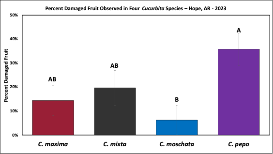 Figure 3 - Number of melonworm damaged fruit observed on four different species of Cucurbita in Hope, AR in 2023. Cucurbita moschata exhibited significantly fewer damaged pumpkins compared to Cucurbita pepo, which was more impacted than any other species at over 30% damaged fruit across 3 varieties.