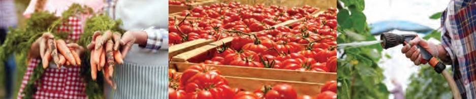 2024 Produce Safety Grower Training Schedule. February 28-29 8am-12:30pm via Zoom. May 29-30 8am-12:30pm via Zoom. September 26 8am-5pm in Little Rock.