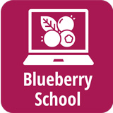 Arkansas Blueberry School Icon
