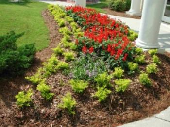 ornamental flower bed