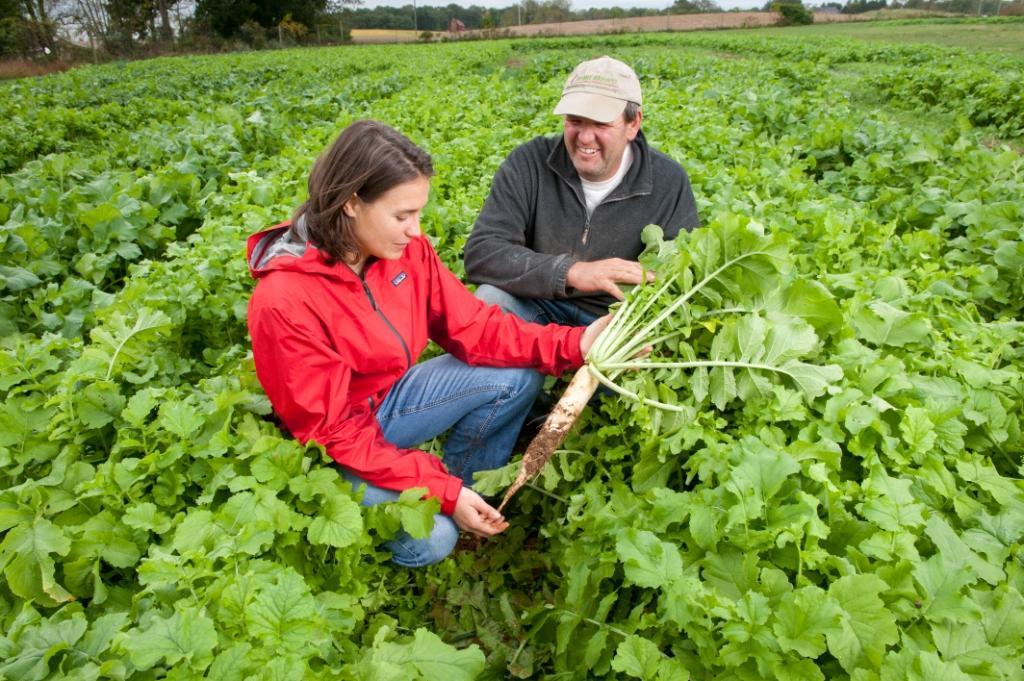 Growers evaluating cover crop in field Growers evaluating cover crop in field