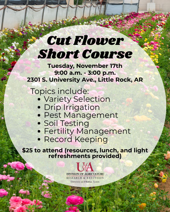 Cut Flowers 101 Cut Flowers Short Course Event