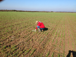 Working in the field 