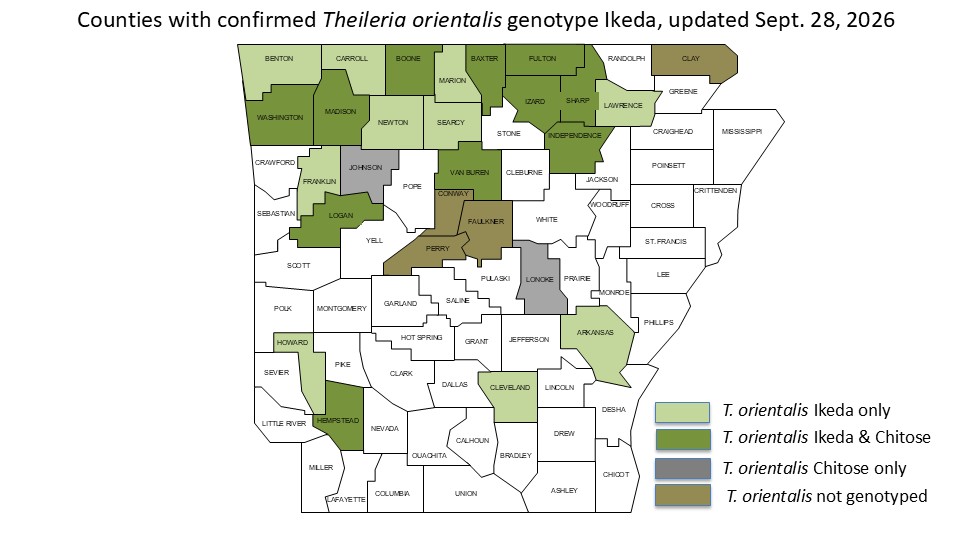 Map of Arkansas with counties with Theileria cases highlighted