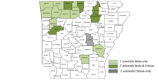 Arkansas counties with confirmed cases of Theileria orientalis Ikeda genotype in cattle as of Nov. 5, 2025.