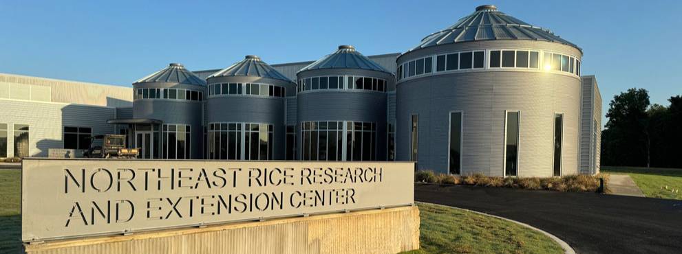 rice research and extension center