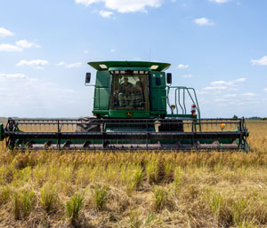 Rice Production in Arkansas