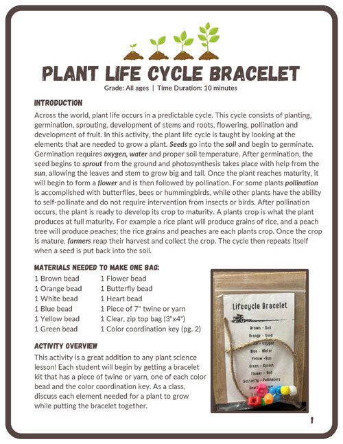 life cycle braceletes activity