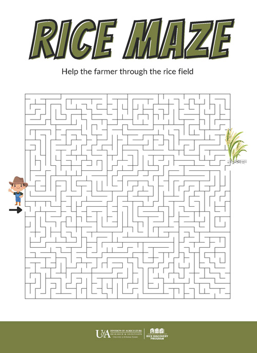 rice maze