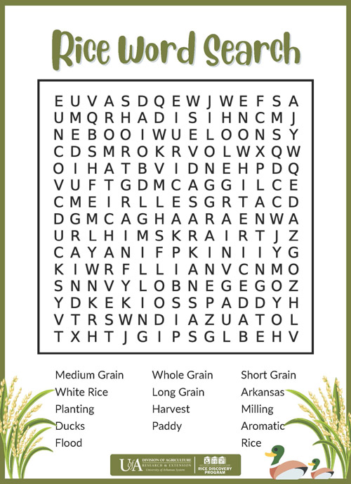 rice word search