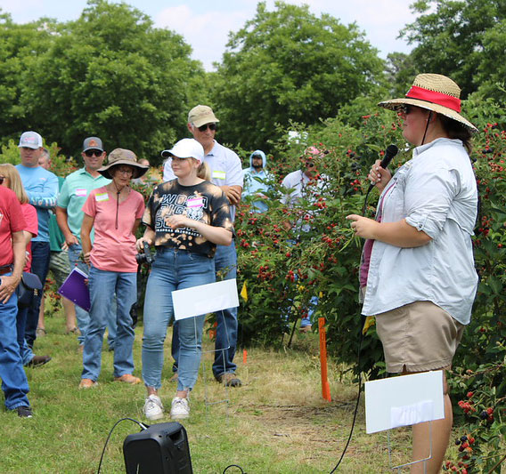 Woman speaking to a crowd in a blackberry field