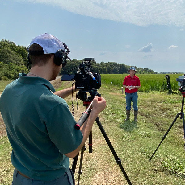 Man speaking in front of a rice field, being filmed
